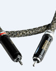 Gold Digital RCA