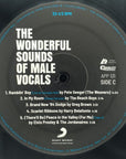THE WONDERFUL SOUND OF MALE VOCALS 2 LP'S