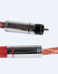 Bronze Digital Rca
