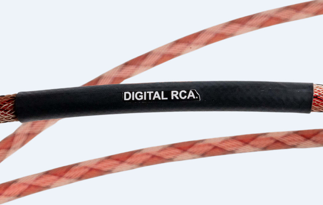 Bronze Digital Rca