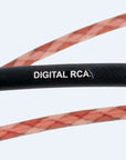 Bronze Digital Rca