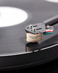 MC - DONATELLO GOLD