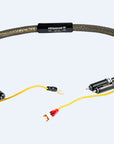 Phono TOP Gold