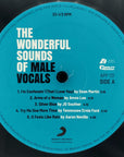 THE WONDERFUL SOUND OF MALE VOCALS 2 LP'S