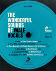 THE WONDERFUL SOUND OF MALE VOCALS 2 LP'S