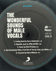 THE WONDERFUL SOUND OF MALE VOCALS 2 LP'S