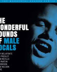 THE WONDERFUL SOUND OF MALE VOCALS 2 LP'S