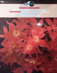 Rimsky-Korsakov - Chabrier* - London Symphony Orchestra, Ataulfo Argenta – Capriccio Espagnol - Andaluza - Espna - Spanish Dances