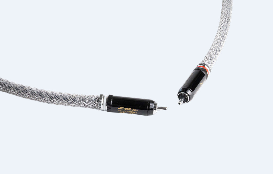 Silver Digital RCA