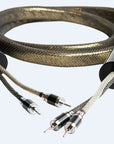 Speaker TOP Gold