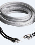 Speaker TOP Silver