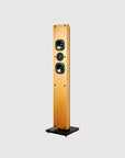 U40 On Wall/Floor standing speaker